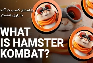 درآمد دلاری، بازی همستر کوین